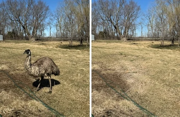 Latest-iPhone-ad-promotes-new-iOS-26-AI-feature-that-is-an-old-Pixel-6-AI-feature1 جدیدترین تبلیغ آیفون، ویژگی جدید هوش مصنوعی iOS 26 را نشان میدهد