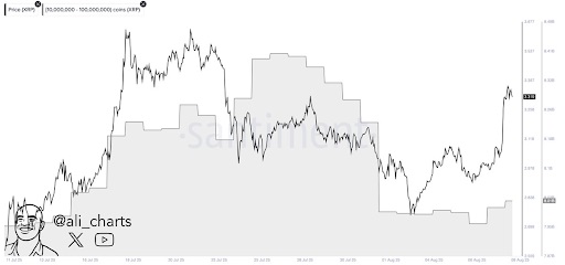 فعالیت نهنگ‌های XRP به‌طور چشمگیری افزایش یافت