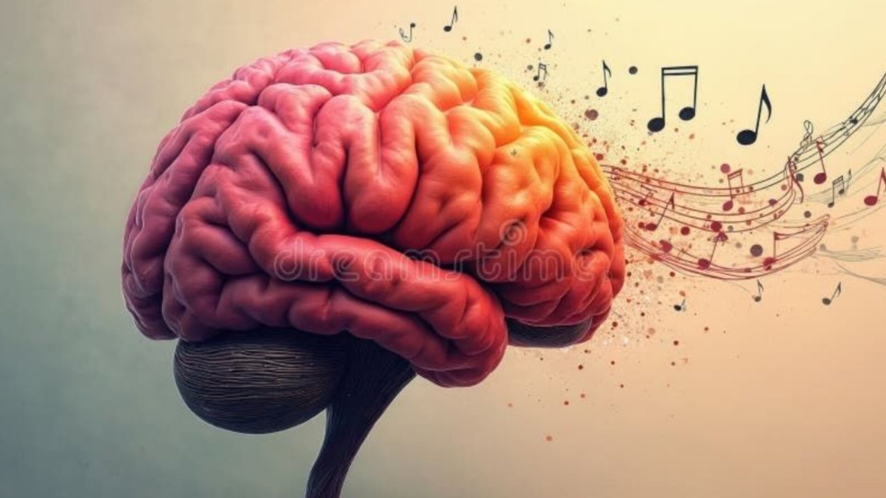 26249 مطالعات جدید نشان میدهد موسیقیدانها درد را متفاوت از دیگران تجربه میکنند - نیعان مگ