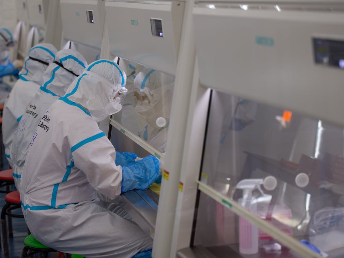 25663 یک فناوری جدید تحلیل مغز انیشتین را ممکن خواهد کرد - نیعان مگ