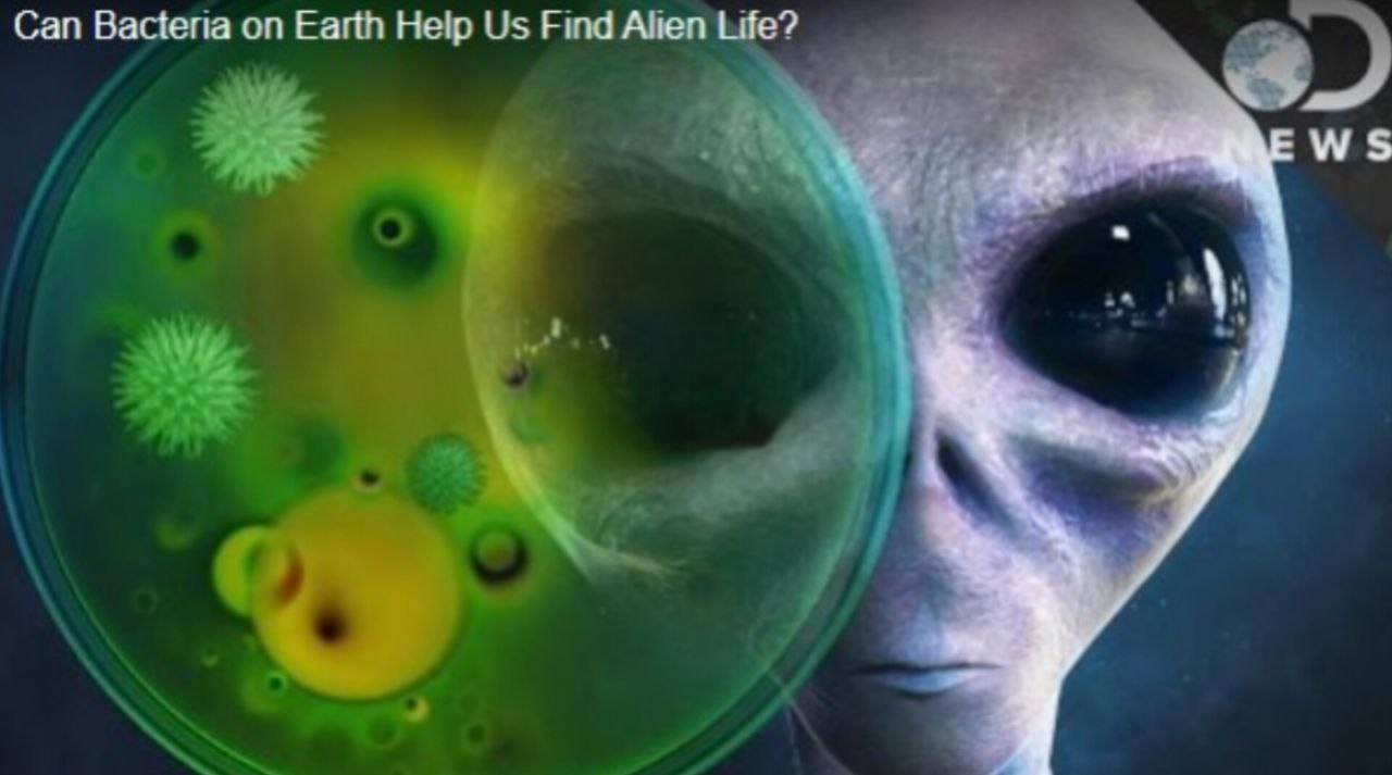 photo_6030728335715322369_y اگر فرازمینی ها وجود داشته باشند، چه شکلیاند؟ ۱۰ تصور ما از ظاهرشان - نیعان مگ