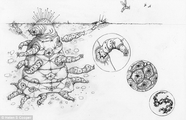 99999 اگر فرازمینی ها وجود داشته باشند، چه شکلیاند؟ ۱۰ تصور ما از ظاهرشان - نیعان مگ