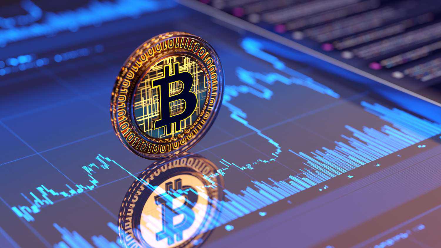 bitcoin bear market رشد بازار بیت کوین
