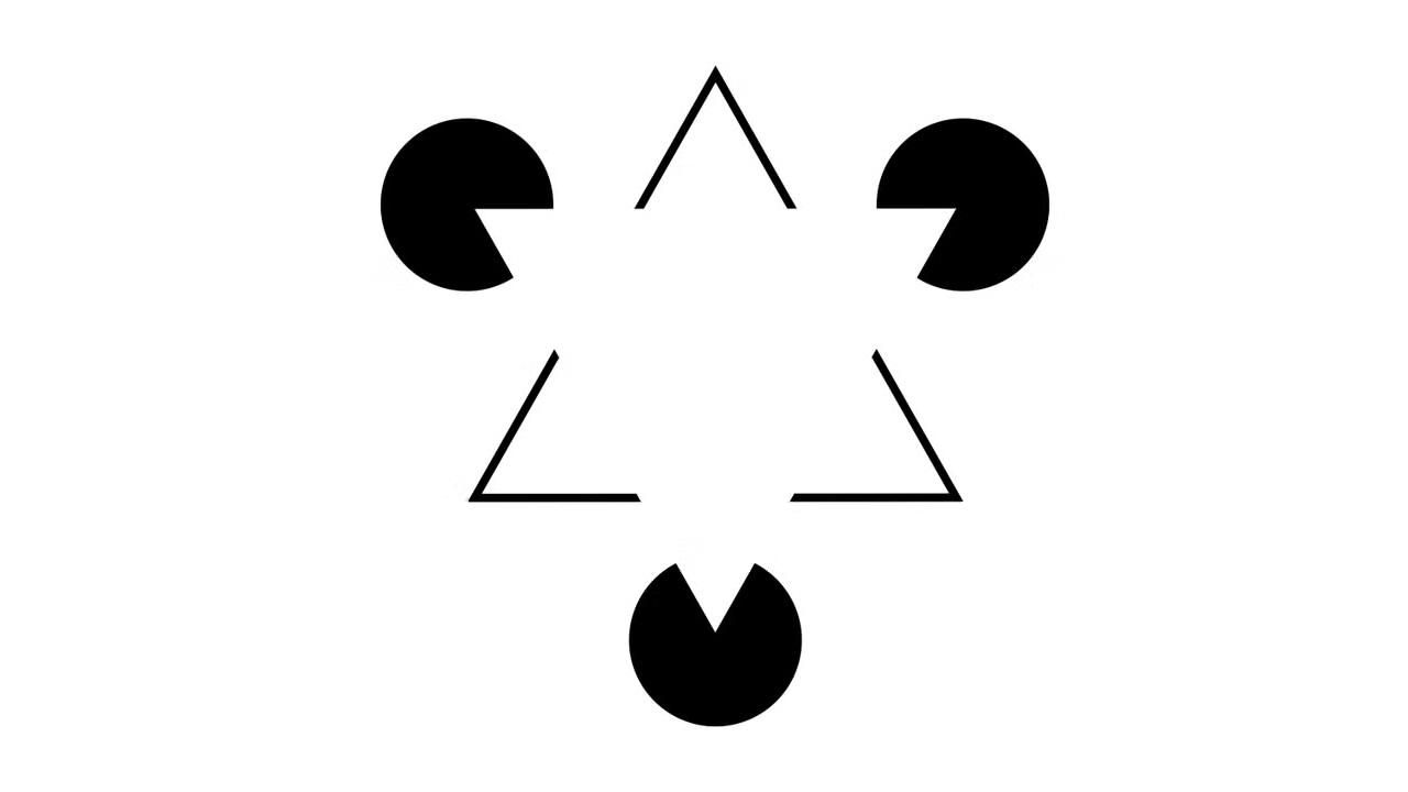 مغز شما نسخه‌ی خودش از واقعیت را می‌سازد و این همان نسخه‌ای است که شما را زنده نگه می‌دارد - نیعان مگ