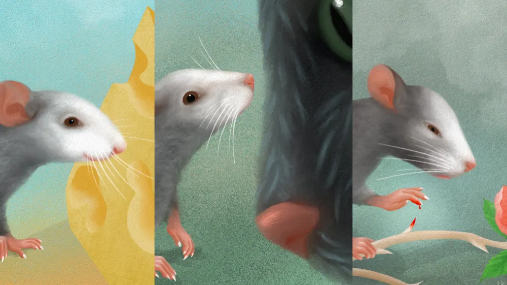 040120_ls_mice-feelings_feat یادگیری ماشین، “ذهنخوانی” موشها را از طریق حرکات ظریف چهره ممکن میکند - نیعان مگ