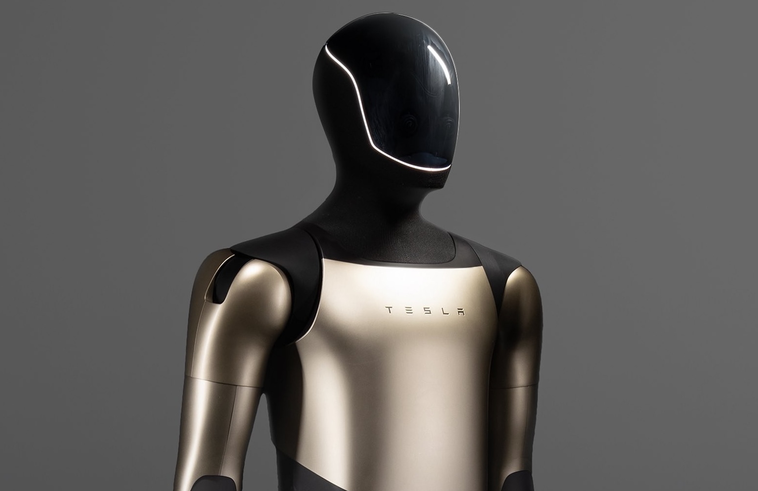 watch-tesla-optimus-robot-master-kung-fu ربات اپتیموس