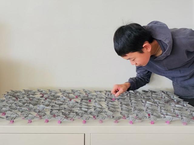 1000014436 این نوجوان ۱۴ ساله به خاطر کشف الگوی جدید اوریگامی برنده جایزه ۲۵,۰۰۰ دلاری شد - نیعان مگ