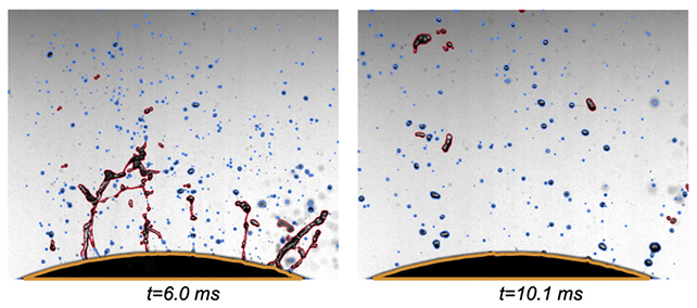37472 با این راهکار ساده هنگام خرد کردن پیاز اشک نریزید! - نیعان مگ