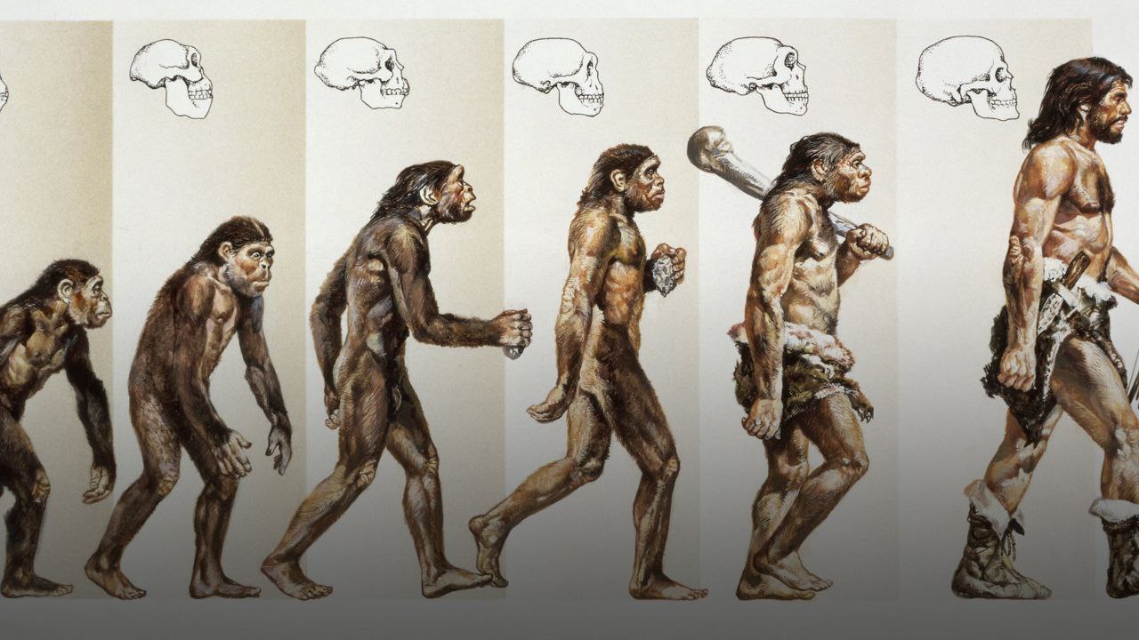 2 بر اساس شواهد علمی، انسان هنوز در حال تکامل است - نیعان مگ