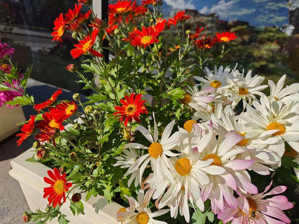 10gsmarena_086 بررسی گوشی پوکو F8 پرو - نیعان مگ