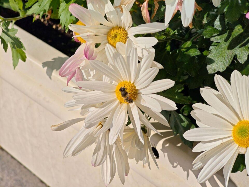 33gsmarena_033 بررسی گوشی پوکو F8 پرو - نیعان مگ