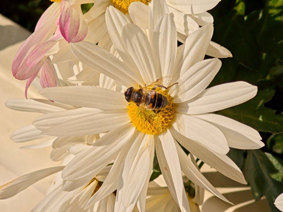 61gsmarena_055 بررسی گوشی پوکو F8 پرو - نیعان مگ