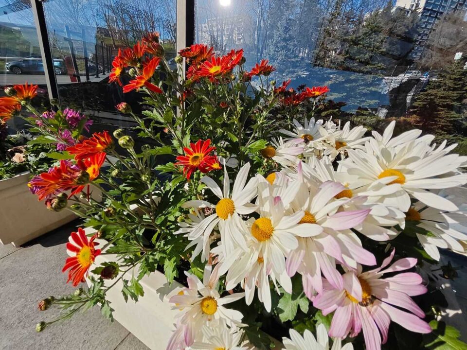 74gsmarena_139 بررسی گوشی پوکو F8 پرو - نیعان مگ