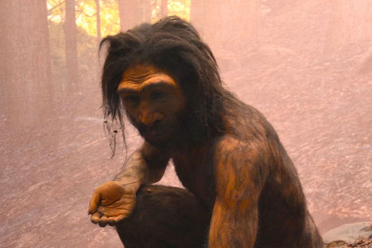 1000014042 دانشمندان گونه تازهای از انسان کشف کردند که با باورهای رایج ناسازگار است - نیعان مگ