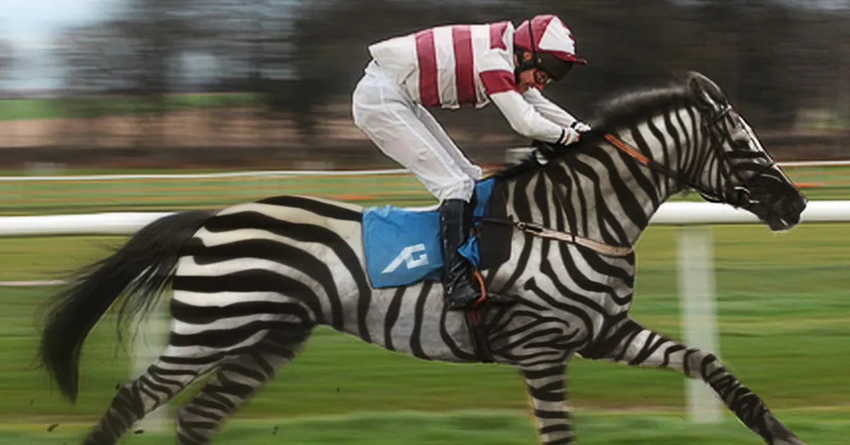 riding-zebra-fb چرا ما سوار گورخرها نمیشویم؟ - نیعان مگ