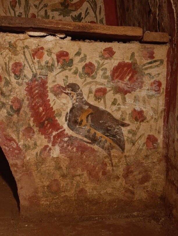 1000016655 باستانشناسان در ترکیه یک نقاشی نادر از عیسی مسیح درون یک مقبره باستانی کشف کردند - نیعان مگ