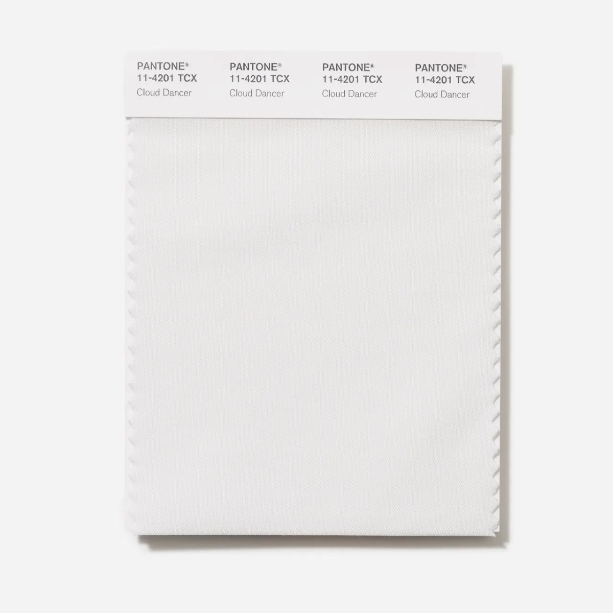 Cloud Dancer Swatch رنگ سال ۲۰۲۶ اعلام شد: «Cloud Dancer» سفید طبیعی با حالوهوای آرامبخش - نیعان مگ