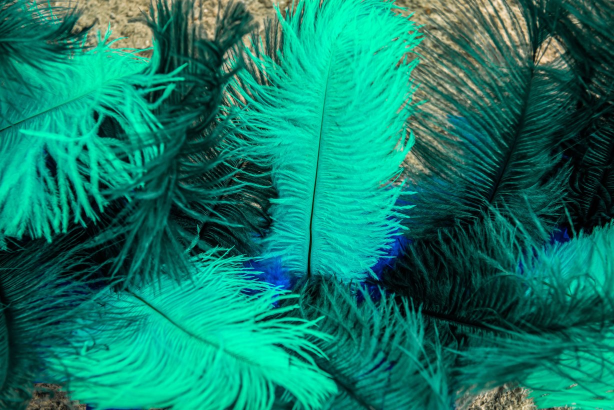 مردم در سال ۲۰۲۵ برای نخستین بار یک رنگ جدید را دیدند - نیعان مگ