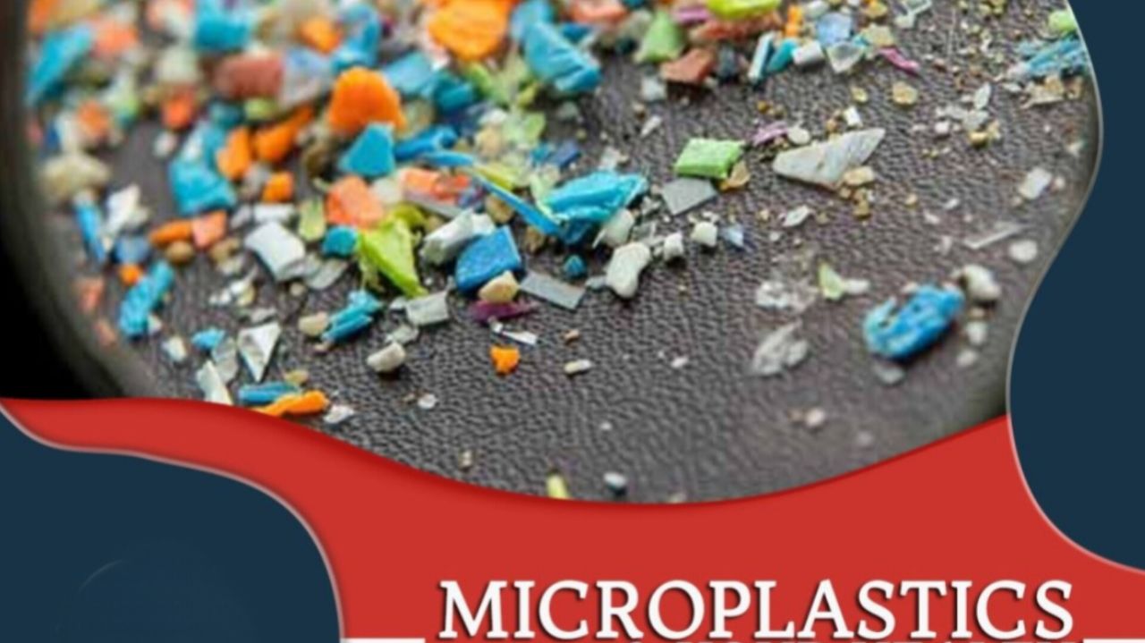 49112 میکروپلاستیکها باعث میشوند حشرات تا ۲۵ برابر بزرگتر شوند - نیعان مگ