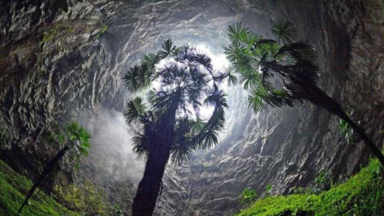 photo_5895471826928864077_y گودال بهشتی؛ بزرگترین چاله طبیعی جهان که شما را شگفتزده میکند - نیعان مگ