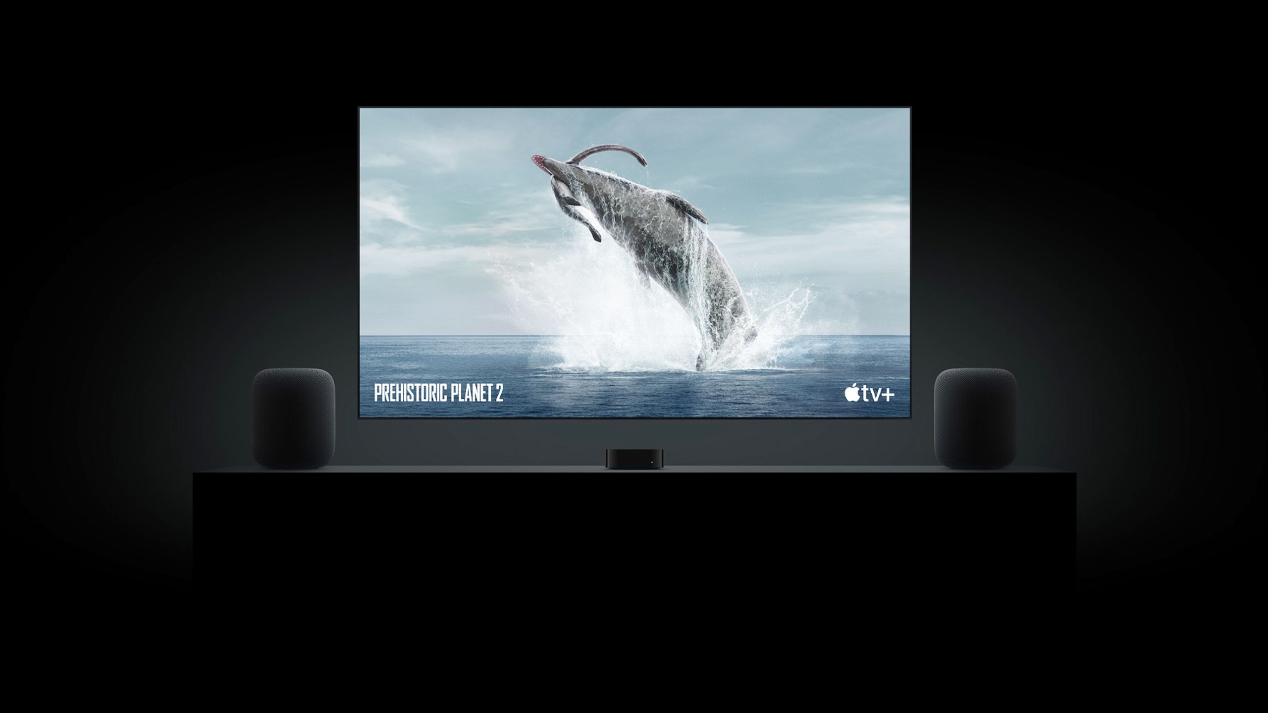 ۵ نکته که هنگام خرید تلویزیون کارکرده باید توجه کنید - نیعان مگ